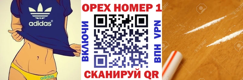 Купить закладки  Верхняя Пышма  Cocaine Эквадор 