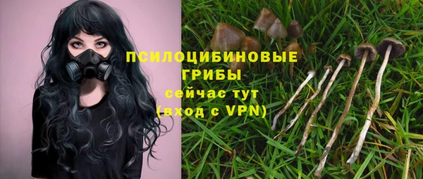 мет Аркадак