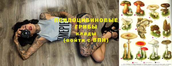 метадон Арсеньев