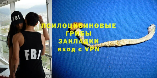 метадон Арсеньев