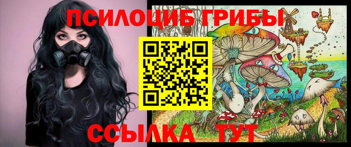 Верхняя Пышма  Псилоцибиновые грибы Psilocybe  Галлюциногенные грибы GOLDEN TEACHER  даркнет сайт  Вход с VPN 