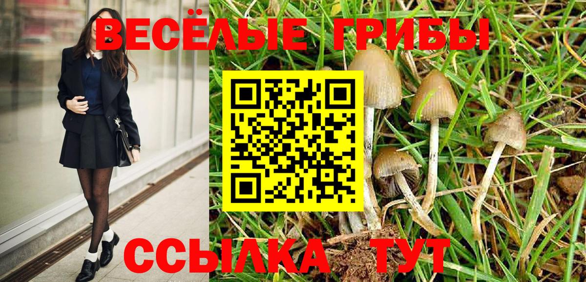 Галлюциногенные грибы ЛСД Верхняя Пышма